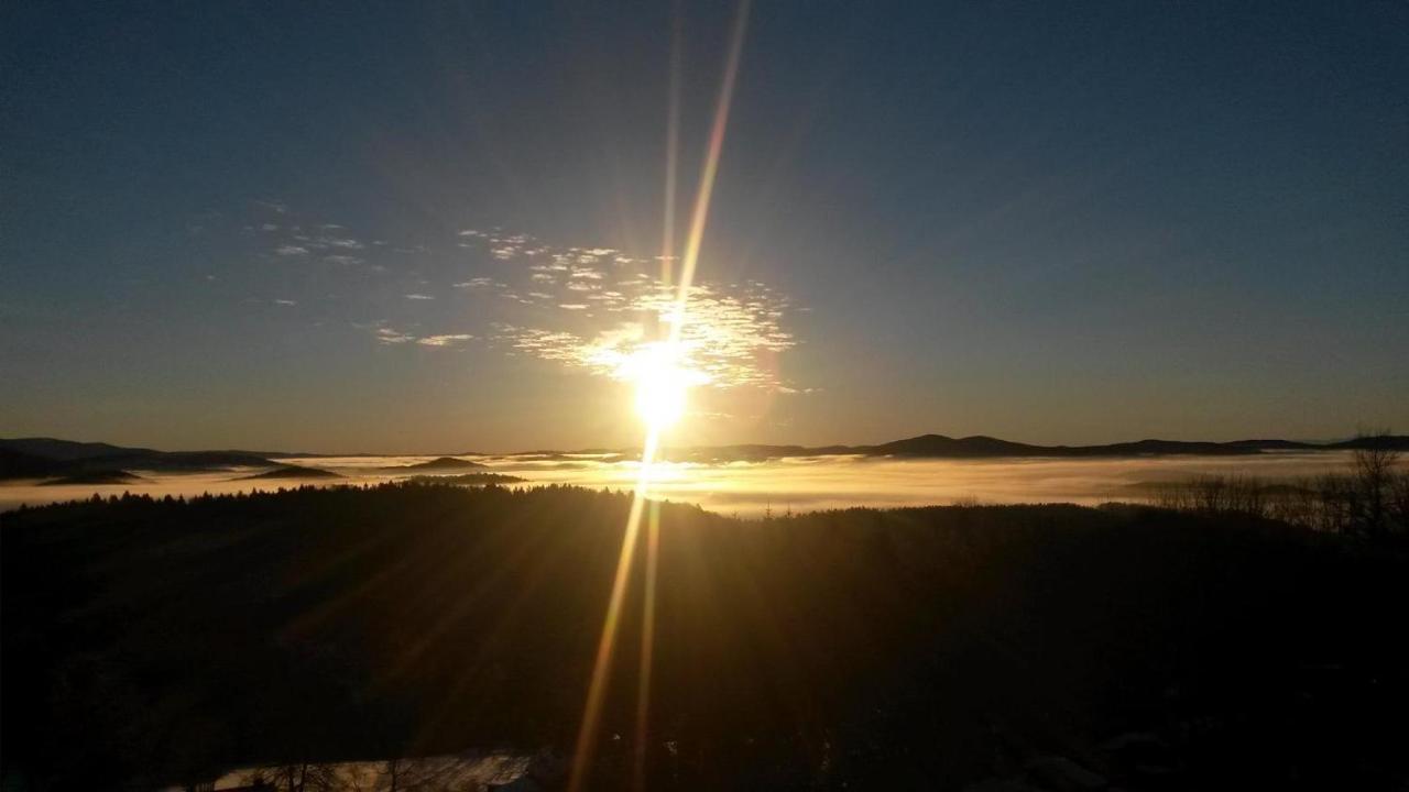 Ferienwohnung Geyersberg Inklusive Aktivcard Bayerischer Wald Freyung Buitenkant foto