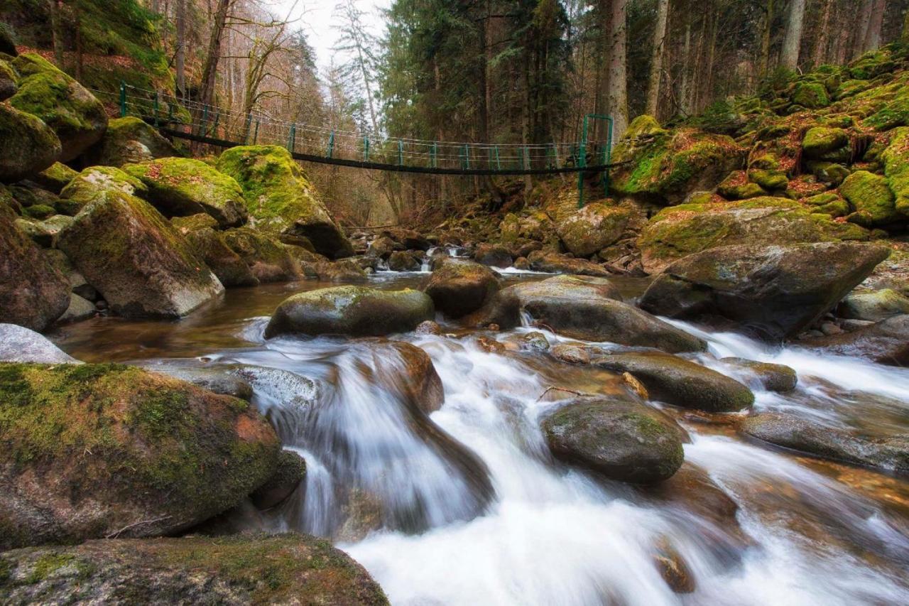 Ferienwohnung Geyersberg Inklusive Aktivcard Bayerischer Wald Freyung Buitenkant foto
